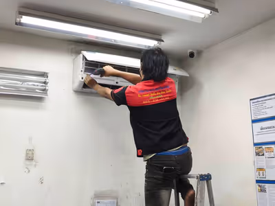 ภาพแกลลอรี่ 37