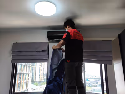 ภาพแกลลอรี่ 95