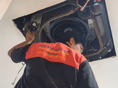 ภาพแกลลอรี่ 39