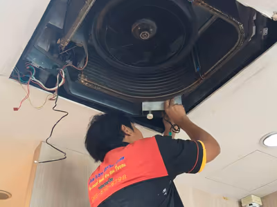 ภาพแกลลอรี่ 7