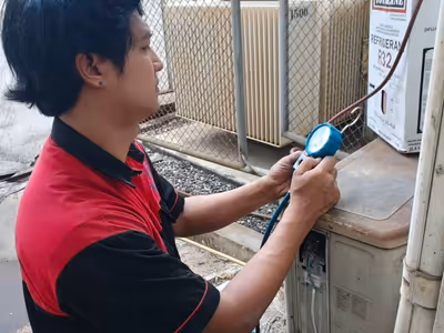 ภาพแกลลอรี่ 19