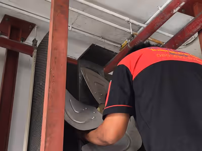 ภาพแกลลอรี่ 79