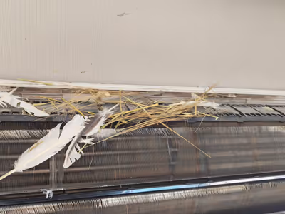 ภาพแกลลอรี่ 36