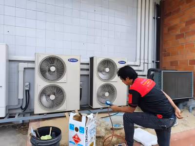 ภาพแกลลอรี่ 13