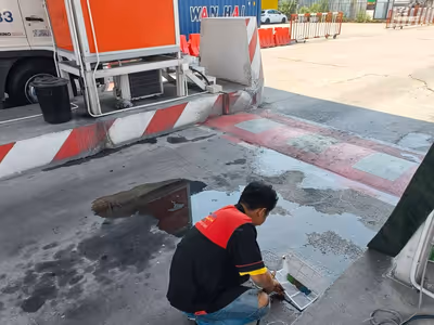 ภาพแกลลอรี่ 51