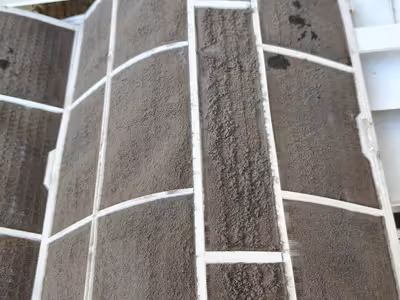 ภาพแกลลอรี่ 87