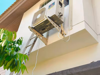 ภาพแกลลอรี่ 54