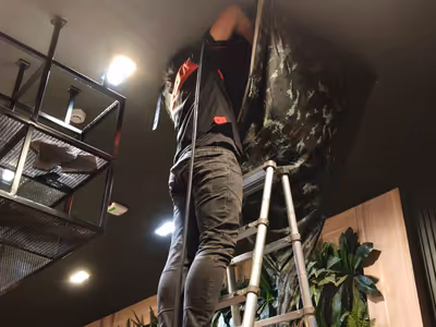 ภาพแกลลอรี่ 112